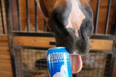 Montucky Cold Snacks with Oskar