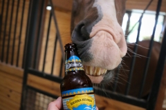 Sierra Nevada Oktoberfest with Oskar