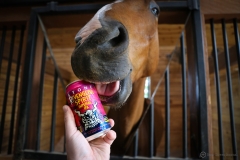 Stone Revengeful Spirit Imperial IPA