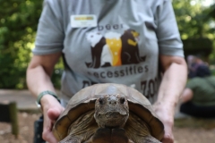 Brew-At-the-Zoo-Atlanta-03