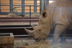 Brew-At-the-Zoo-Atlanta-08