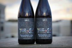 Dogfish-Head-Pearl-Jam-Twenty-Faithfull-Ale