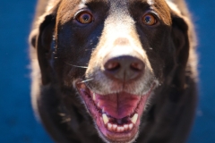 Contrast-Artisan-Ales-7th-Anniversary-09