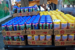Dunwoody-Beer-Fest-2012-10