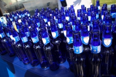 Dunwoody-Beer-Fest-2012-20