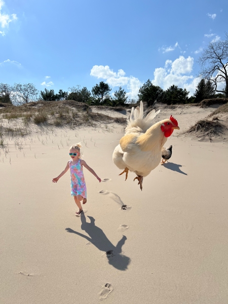 Lake-Michigan-Gracie-Chickens