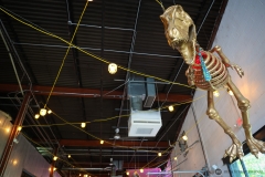 Dinosaur Decorations at Monday Night's 12th Anniversary, Monday Night Garage, Atlanta, Georgia, 2023.