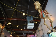 Monday-Night-12th-Anniversary-11