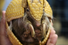 Pontoon-2nd-Anniversary-99