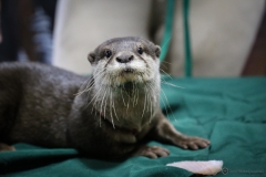 Pontoon-Brewing-2nd-Anniversary-1