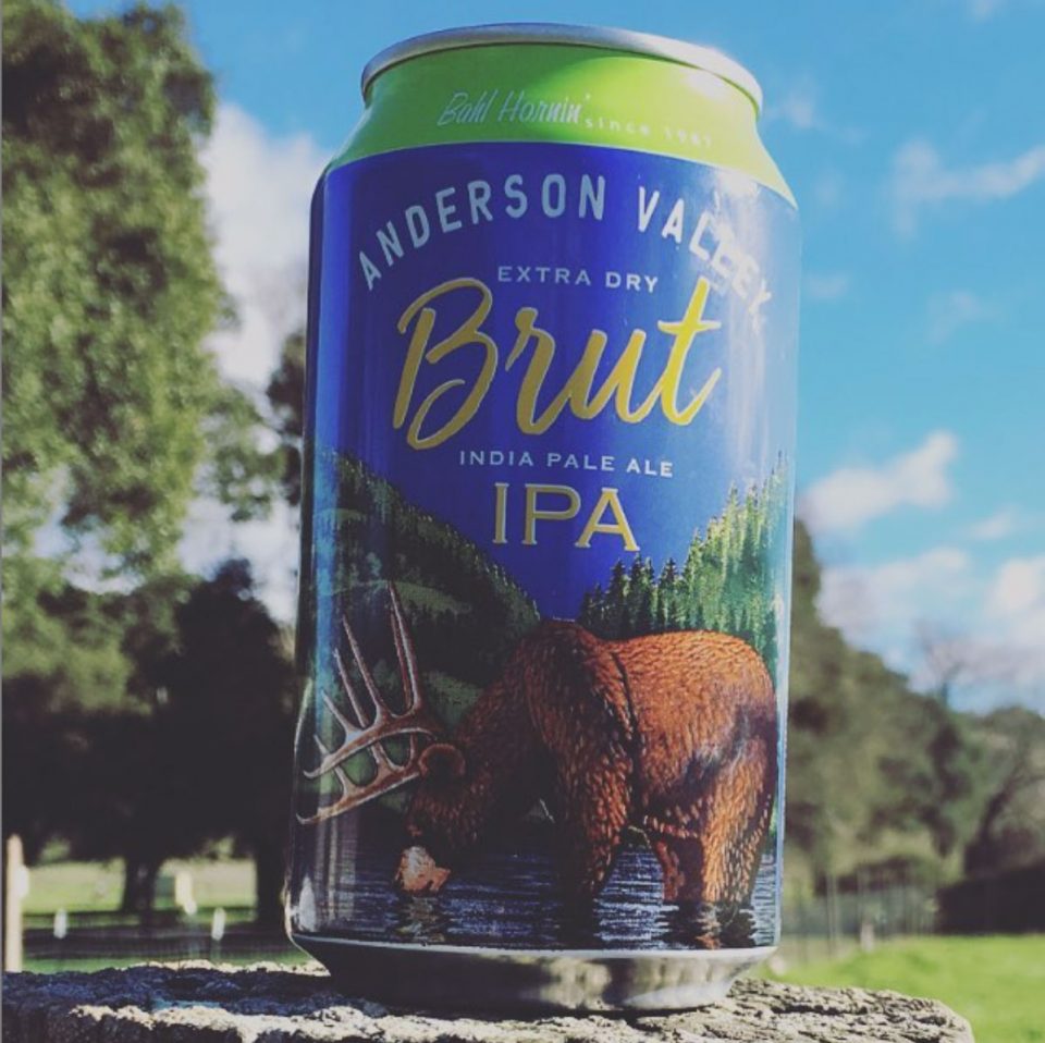 Anderson Valley Brut IPA