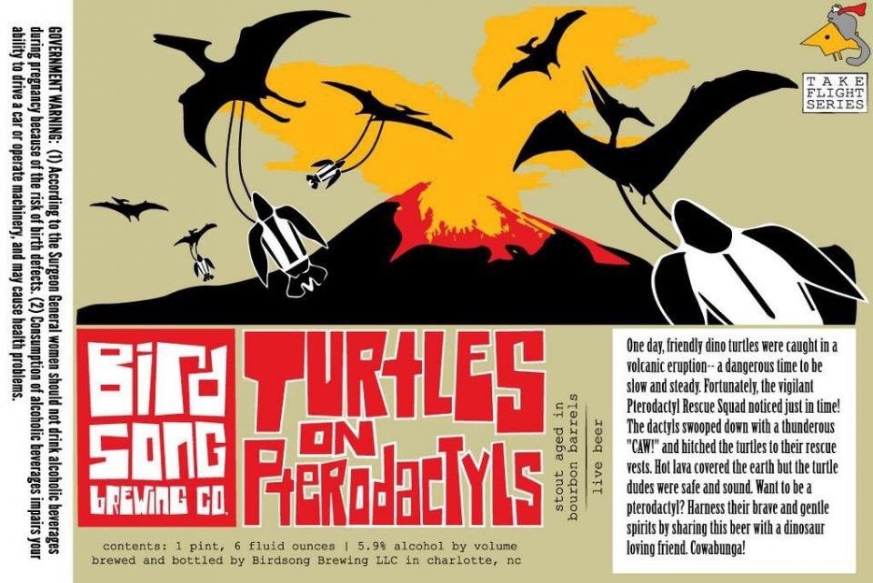 Birdsong Turtles on Pterodactyls