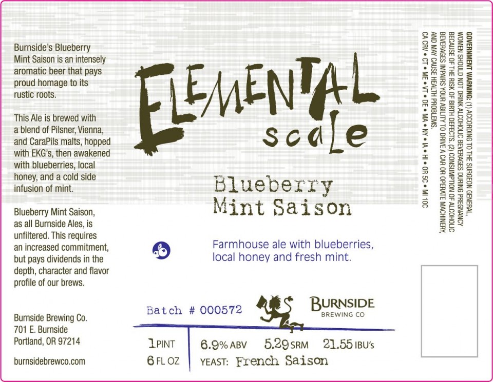 Burnside Blueberry Mint Saison
