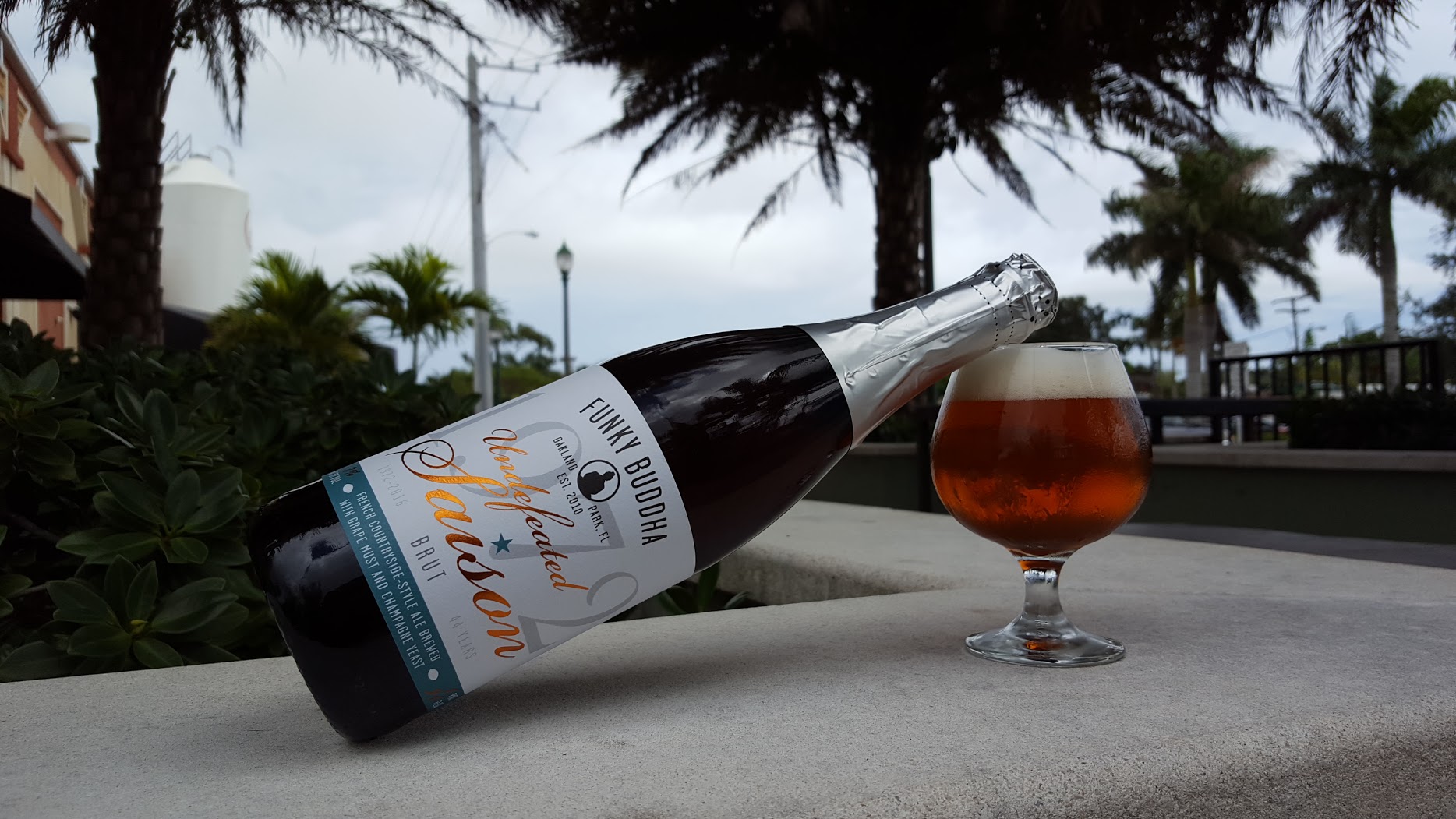 Funky Buddha's Champagne beer celebrates Dolphins undefeated season