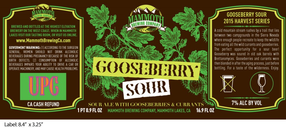 Mammoth Gooseberry Sour