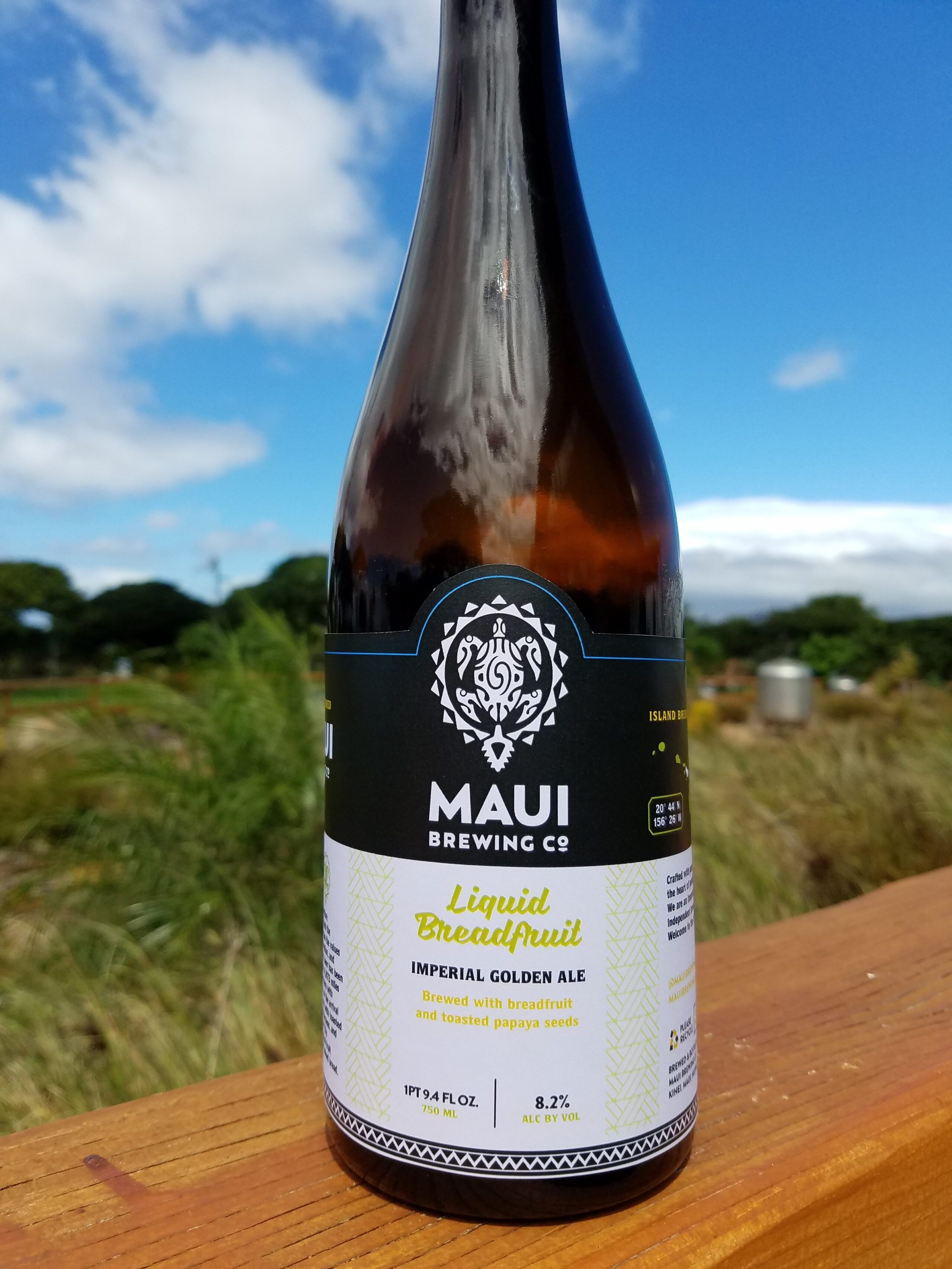 Maui Liquid Breadfruit Beer Street Journal