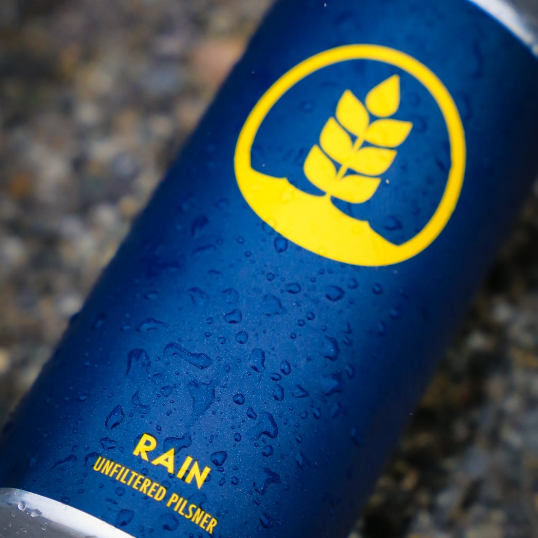 Pure Brewing Rain Unfiltered Pilsner