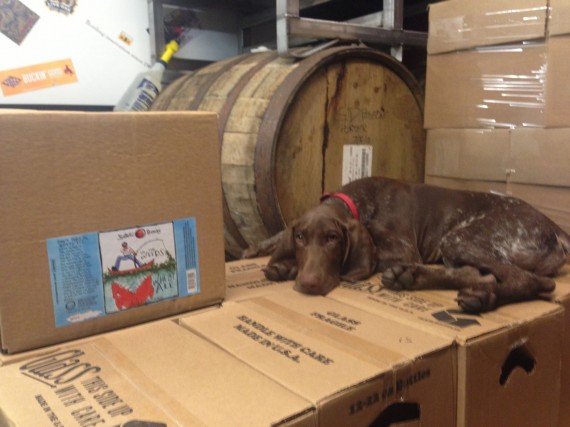 Spiteful Brewing Norm Sleeping