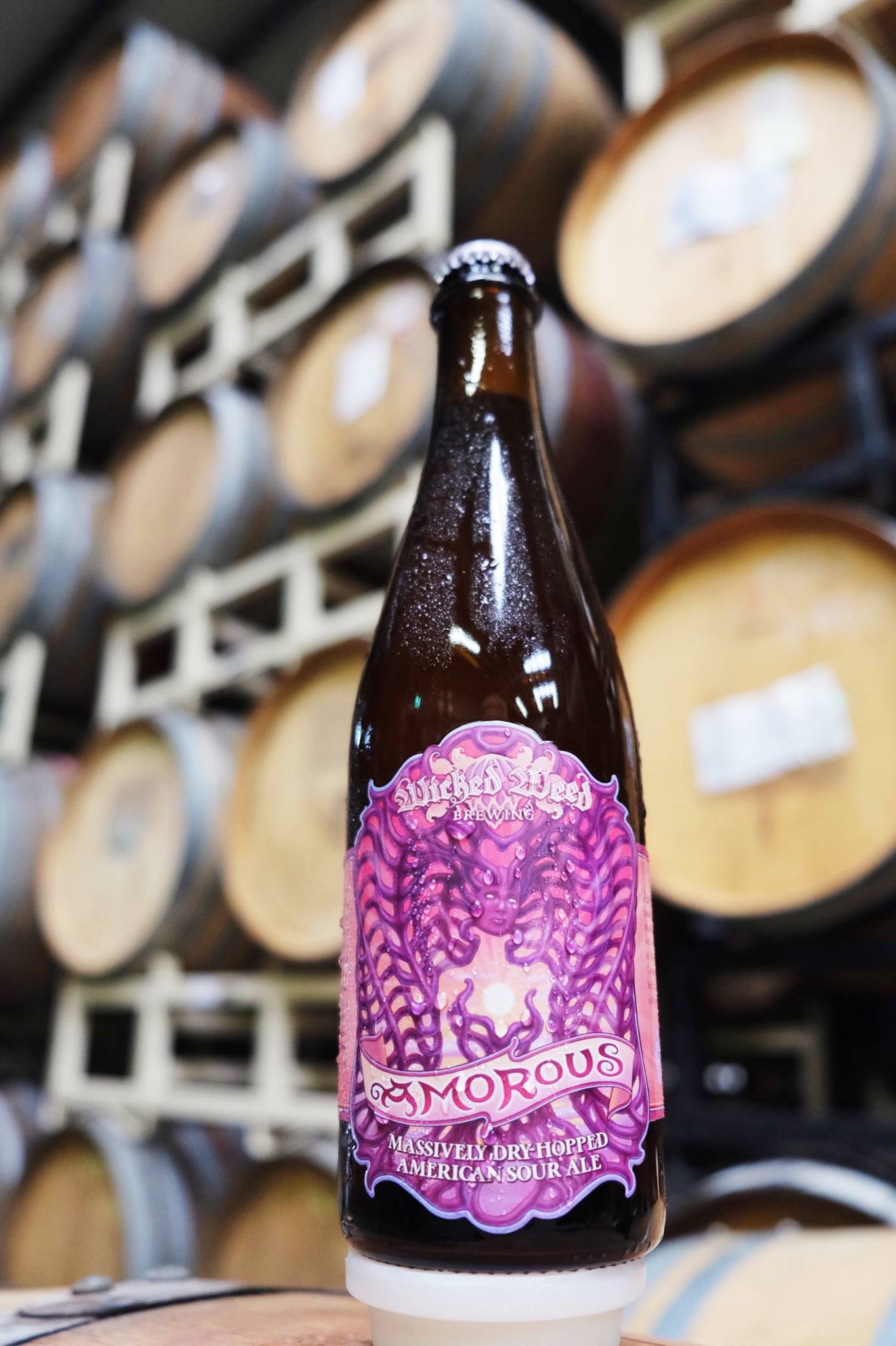 Wicked Weed Amorous