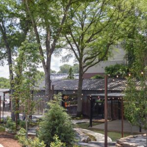 Monday Night The Grove opening