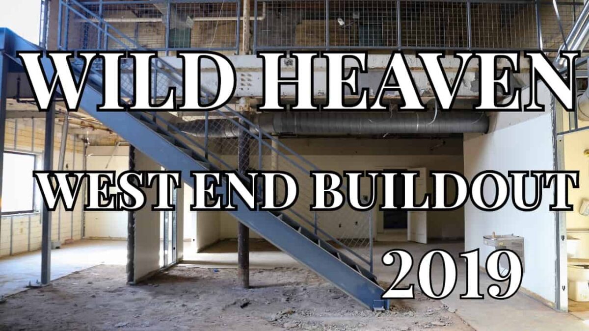 Wild Heaven West End Buildout gallery thumbnail